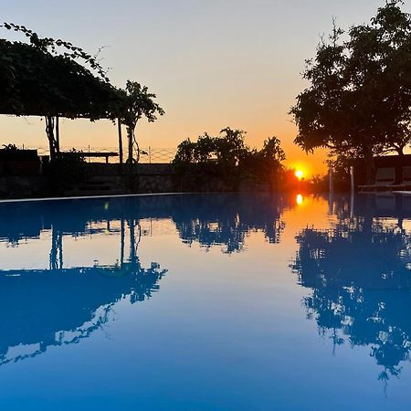 Villa Bikini On Sorrento Coast ヴィーコ・エクエンセ エクステリア 写真