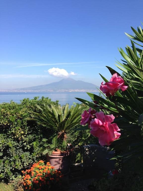 Villa Bikini On Sorrento Coast ヴィーコ・エクエンセ エクステリア 写真