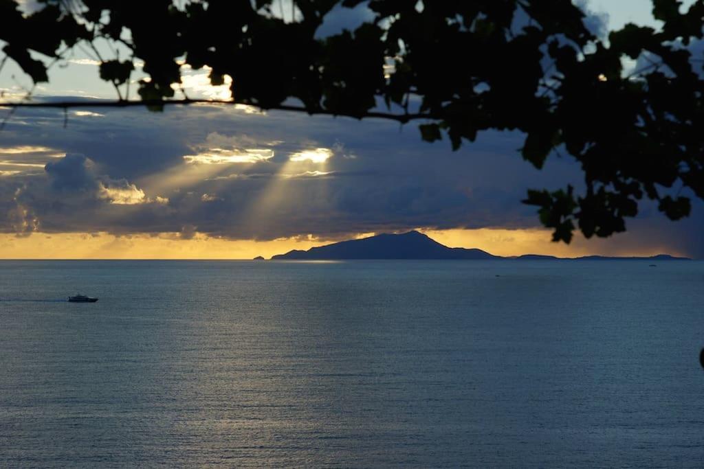 Villa Bikini On Sorrento Coast ヴィーコ・エクエンセ エクステリア 写真
